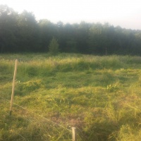 Свайно-розтверковий фундамент під каркасний будинок - Львів 2015р